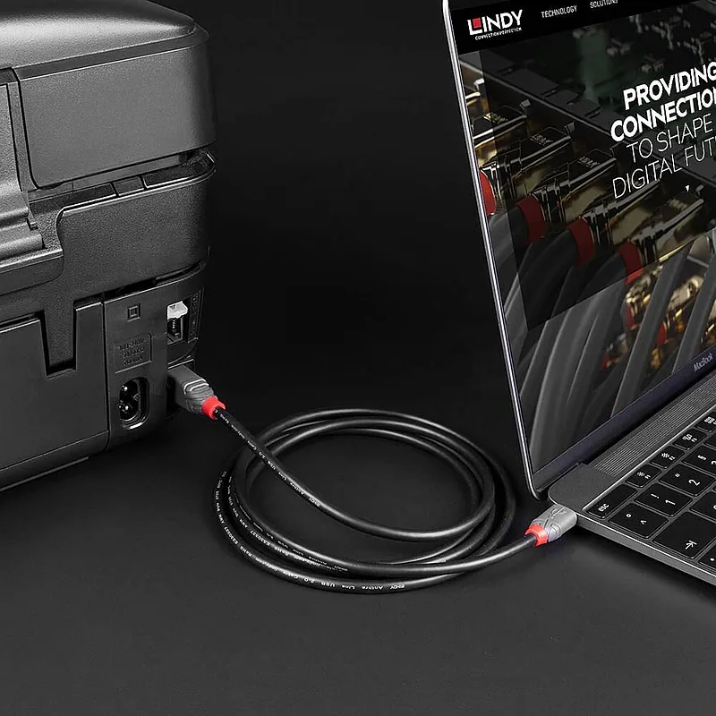 Lindy 36942 USB-kaabel USB 2.0 2 m USB C USB B Must
