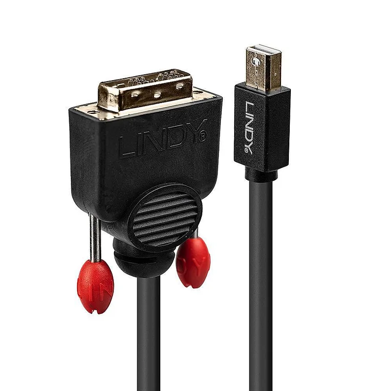 Lindy 41953 videokaabliadapter 3 m Mini DisplayPort DVI-D Must