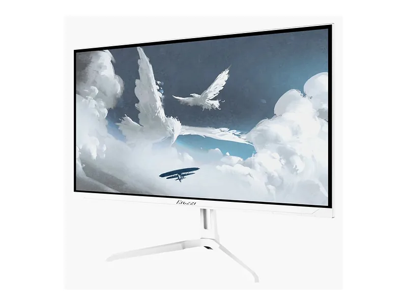 Arozzi, Nova, 24 “, IPS, QHD, 16:9, 200 Hz, 1 ms, 2560 x 1440 pixels, 300 cd/m², HDMI ports quantity 2, Forest Green