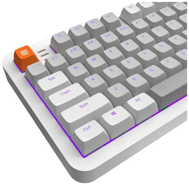 Klawiatura gamingowa Dark Project ALU87B G3MS Moonstone przewodowa mechaniczna podświetlana szara