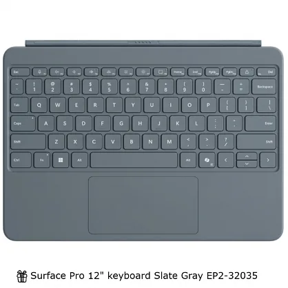 Microsoft Surface Pro Copilot+ PC 12 X1P-42-100 16GB 512SSD W11 Platin EP2-27663
