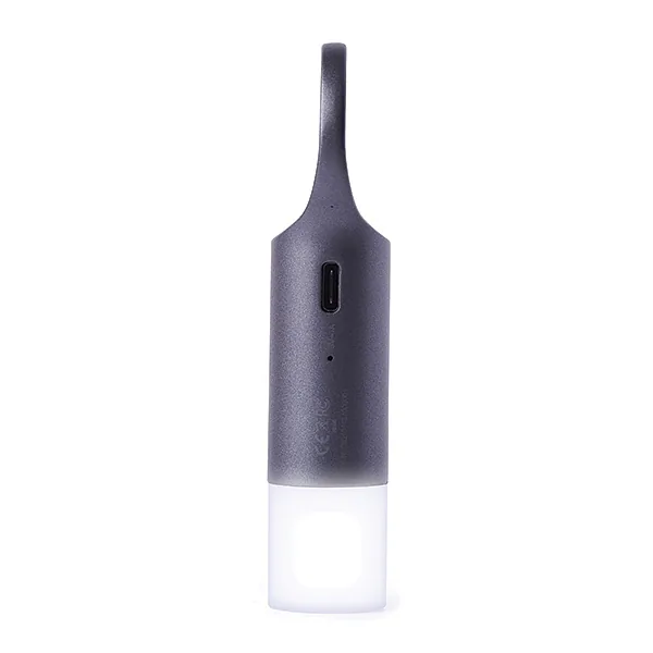 Lexon Nomaday Flash Brelok LED szary, gun LL137X