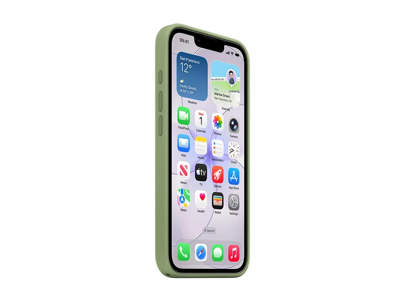 Apple iPhone 17e Silicone Case with MagSafe – Light Moss, Apple