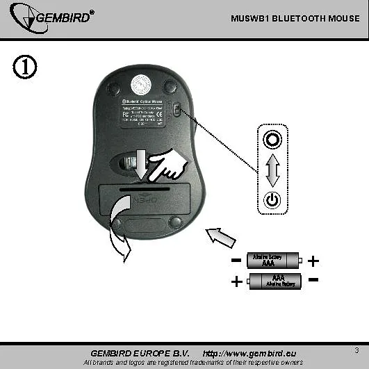 Gembird, MUSWB2, Optical Bluetooth mouse, 6 button, Black, Grey