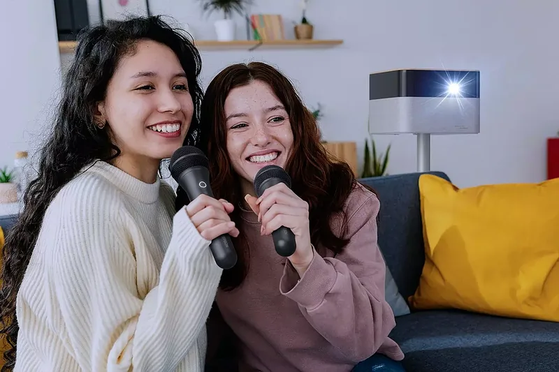 Epson Wireless Karaoke Microphone Pair, ELPKM01