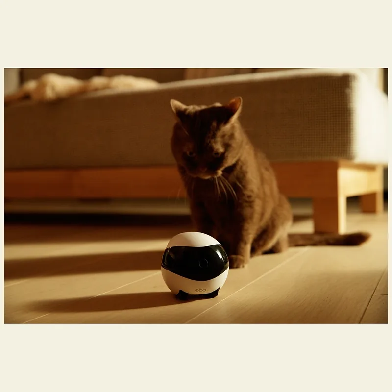 Intelligent companion robot ENABOT EBO SE