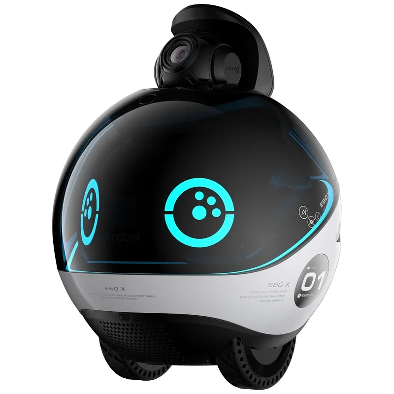 Intelligent companion robot ENABOT EBO X