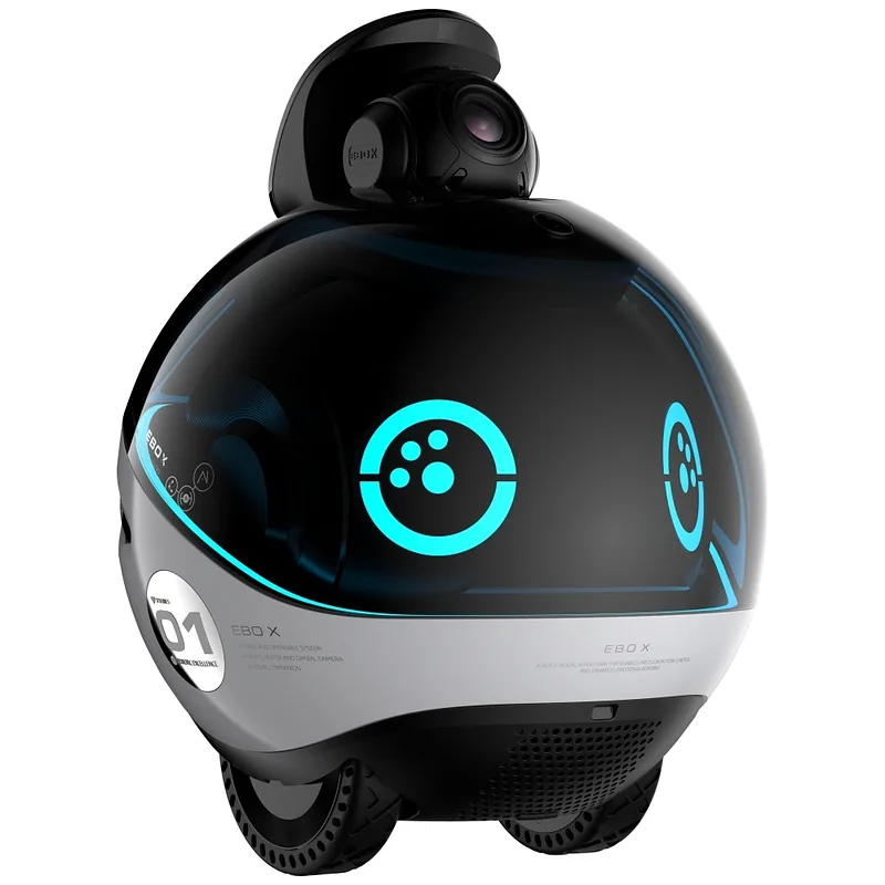 Intelligent companion robot ENABOT EBO X