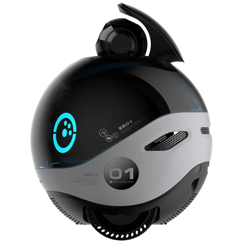 Intelligent companion robot ENABOT EBO X