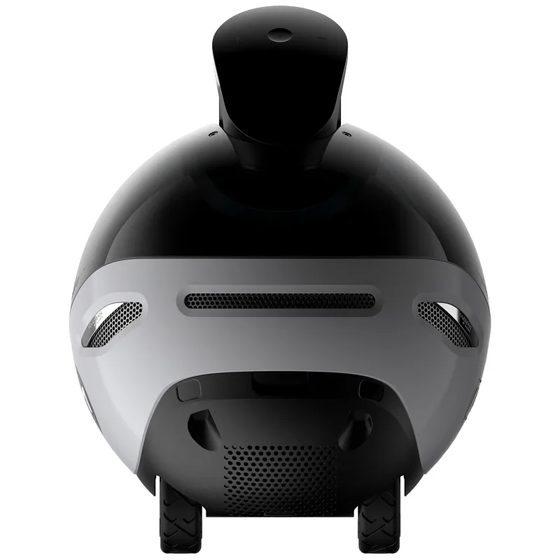 Intelligent companion robot ENABOT EBO X