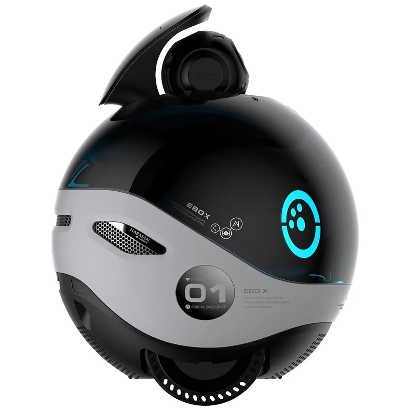 Intelligent companion robot ENABOT EBO X