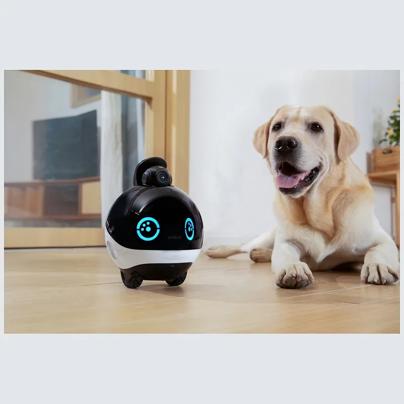 Intelligent companion robot ENABOT EBO X