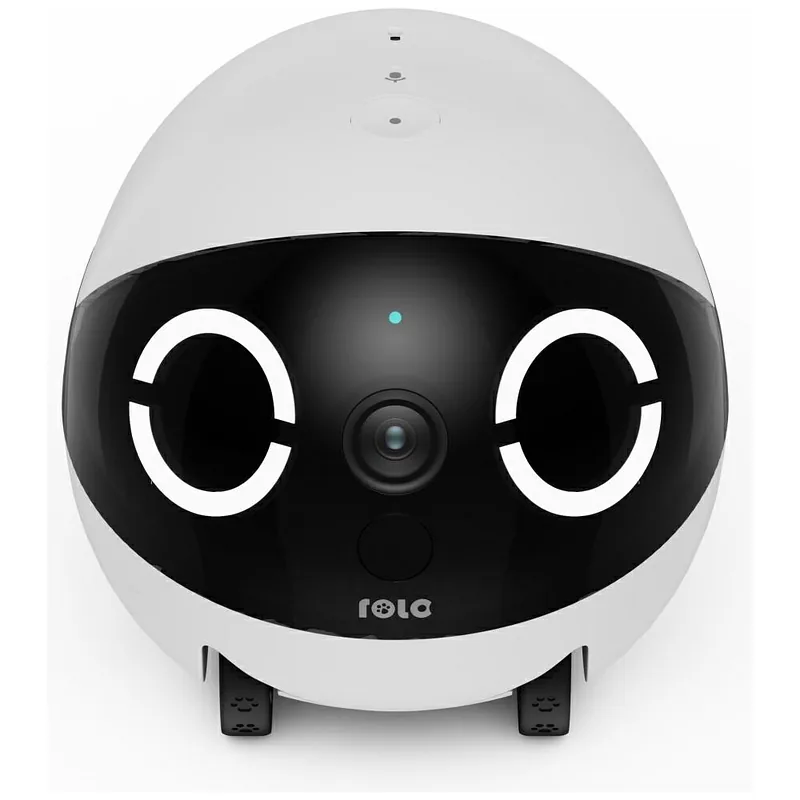 Intelligent companion robot ENABOT ROLAMINI