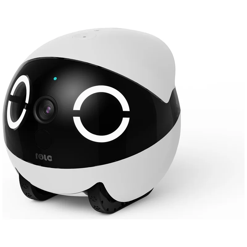 Intelligent companion robot ENABOT ROLAMINI