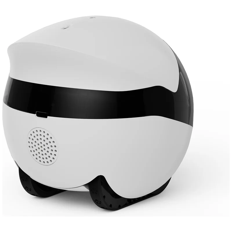 Intelligent companion robot ENABOT ROLAMINI