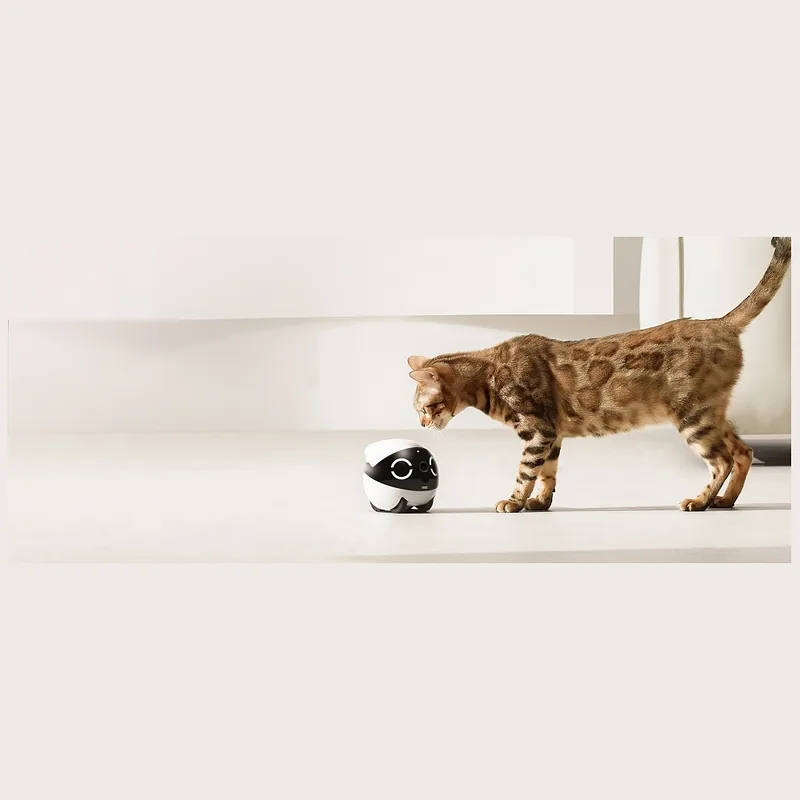 Intelligent companion robot ENABOT ROLAMINI