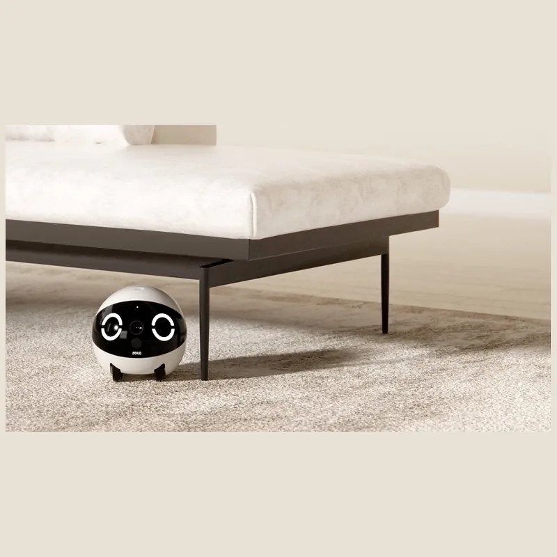 Intelligent companion robot ENABOT ROLAMINI