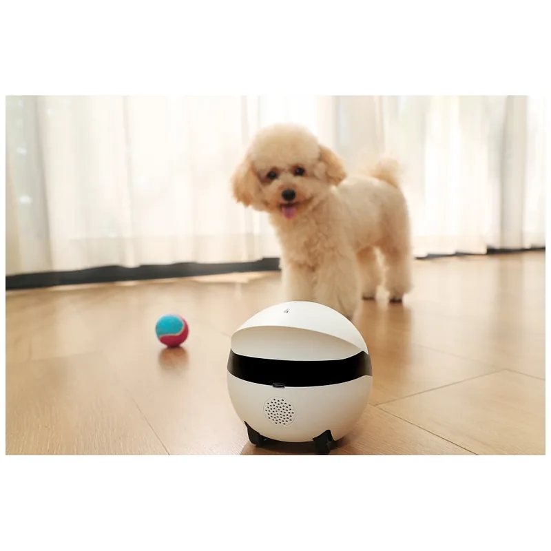 Intelligent companion robot ENABOT ROLAMINI