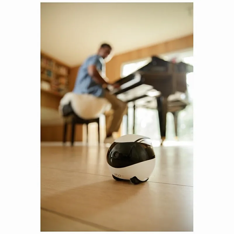 Intelligent companion robot ENABOT EBO Air