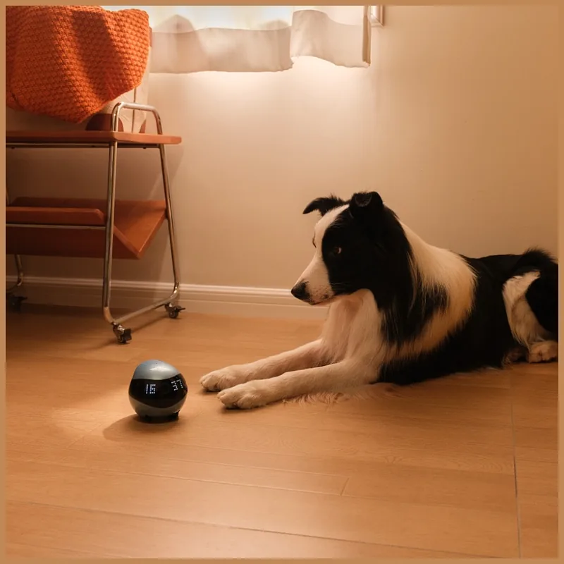 Intelligent companion robot ENABOT EBO Air2 pink