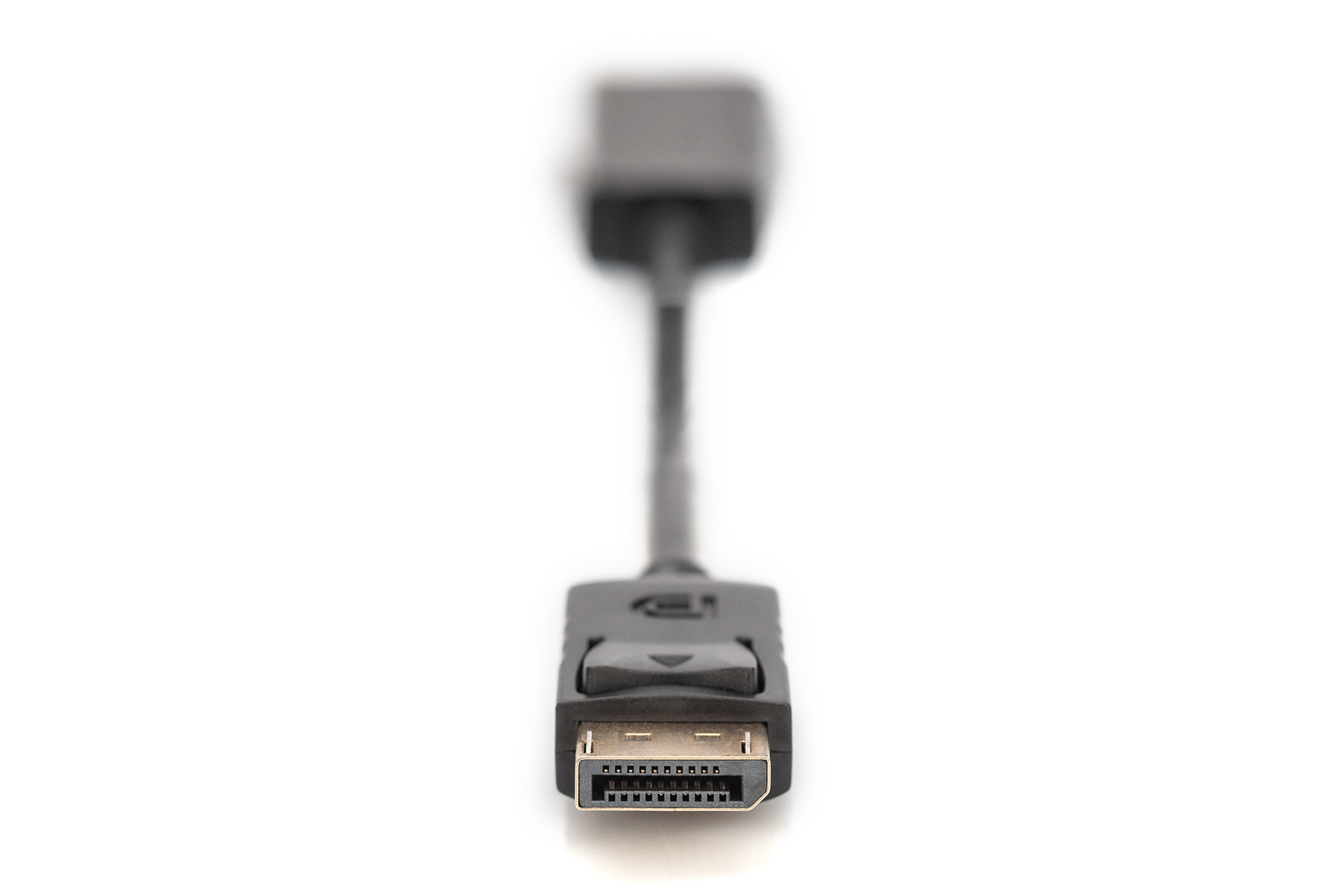 ASSMANN DisplayPort adapter cable DP