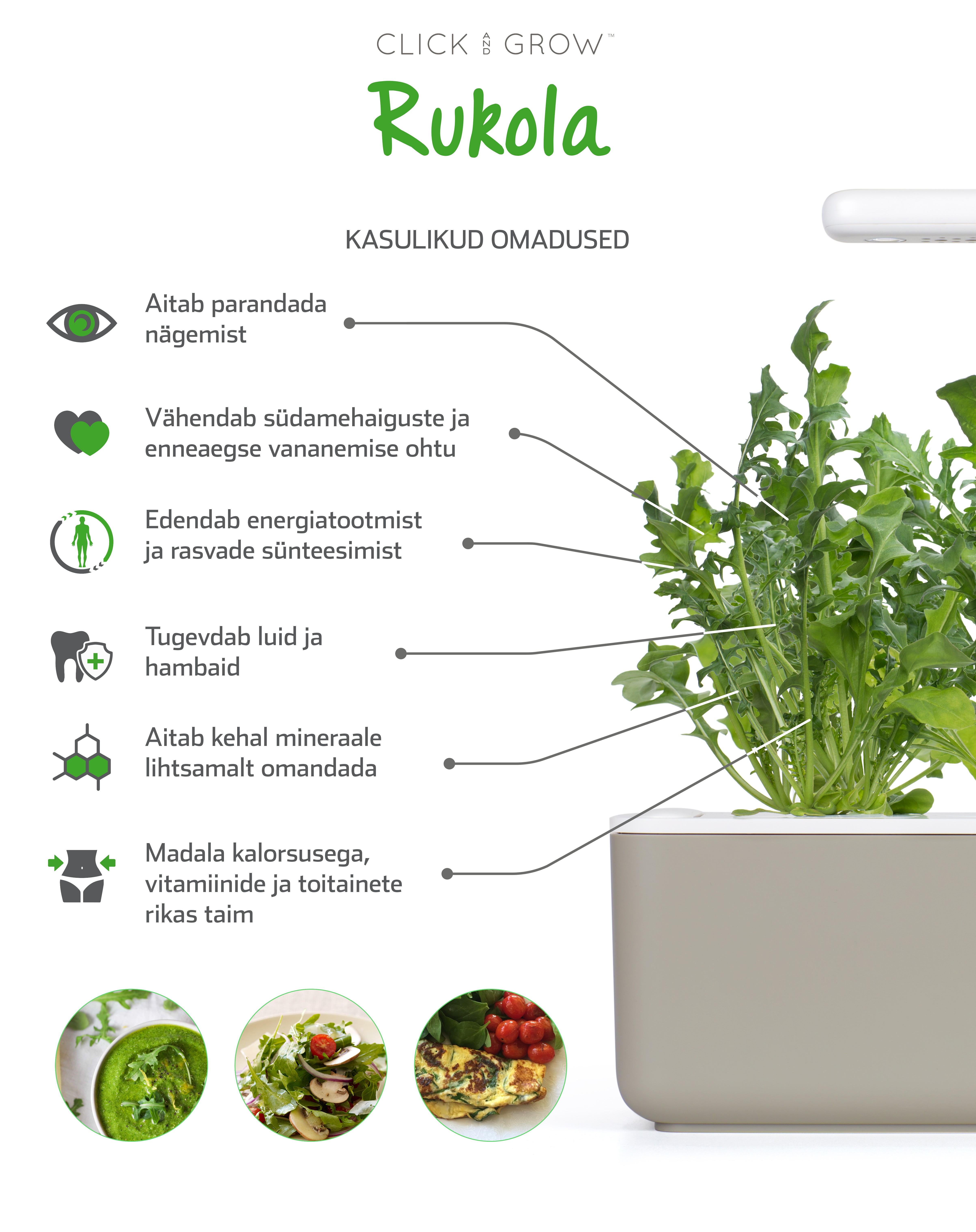 Click & Grow  Smart Garden refill Rukola 3tk