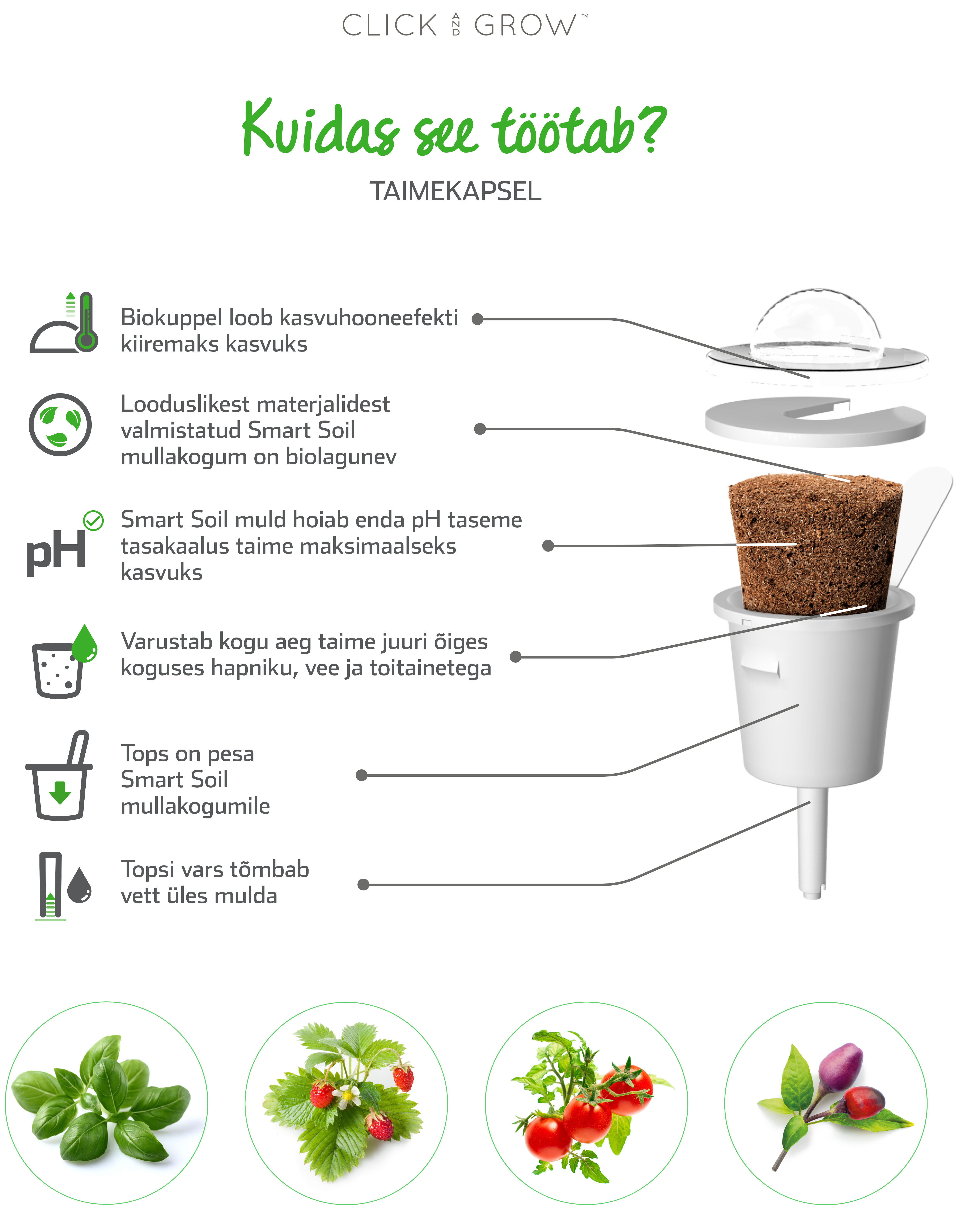 Click & Grow  Smart Garden refill Metsmaasikas 3tk