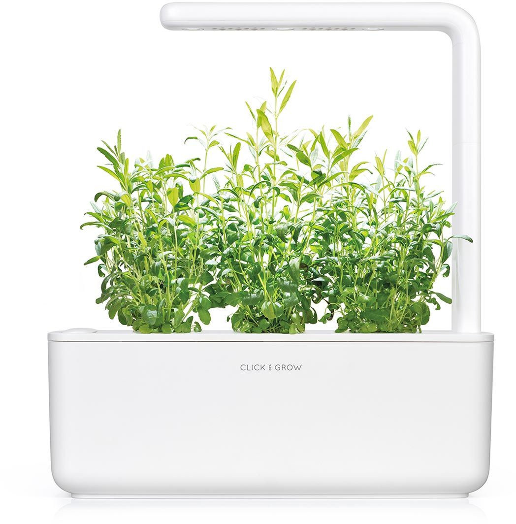 Click & Grow  Smart Garden refill Iisop 3tk