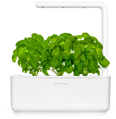 Click & Grow  Smart Garden refill Basiilik 3tk