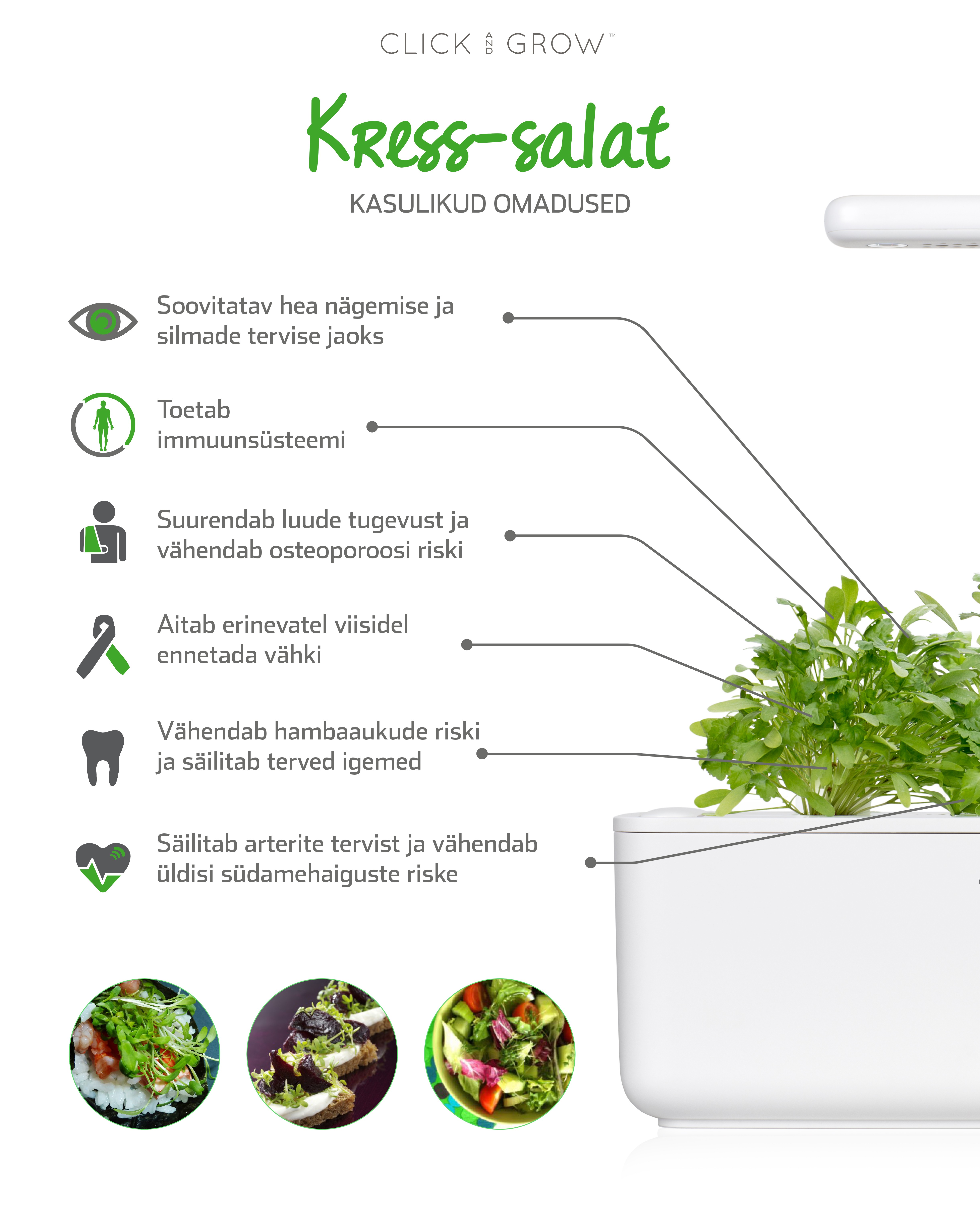 Click & Grow  Smart Garden refill Kress-salat 3tk