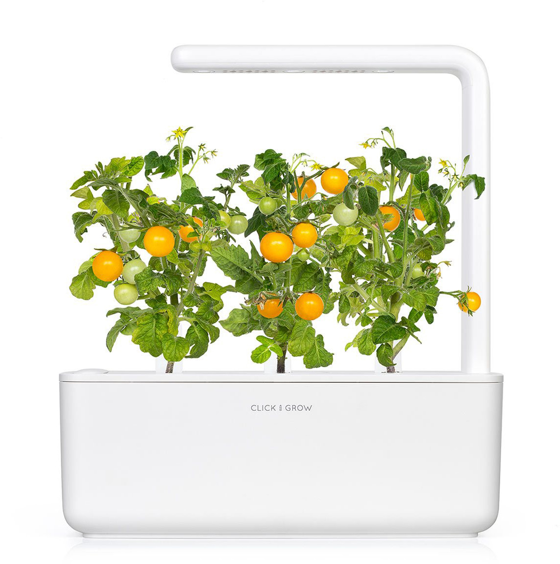 Click & Grow  Smart Garden refill Kollane tomat 3tk