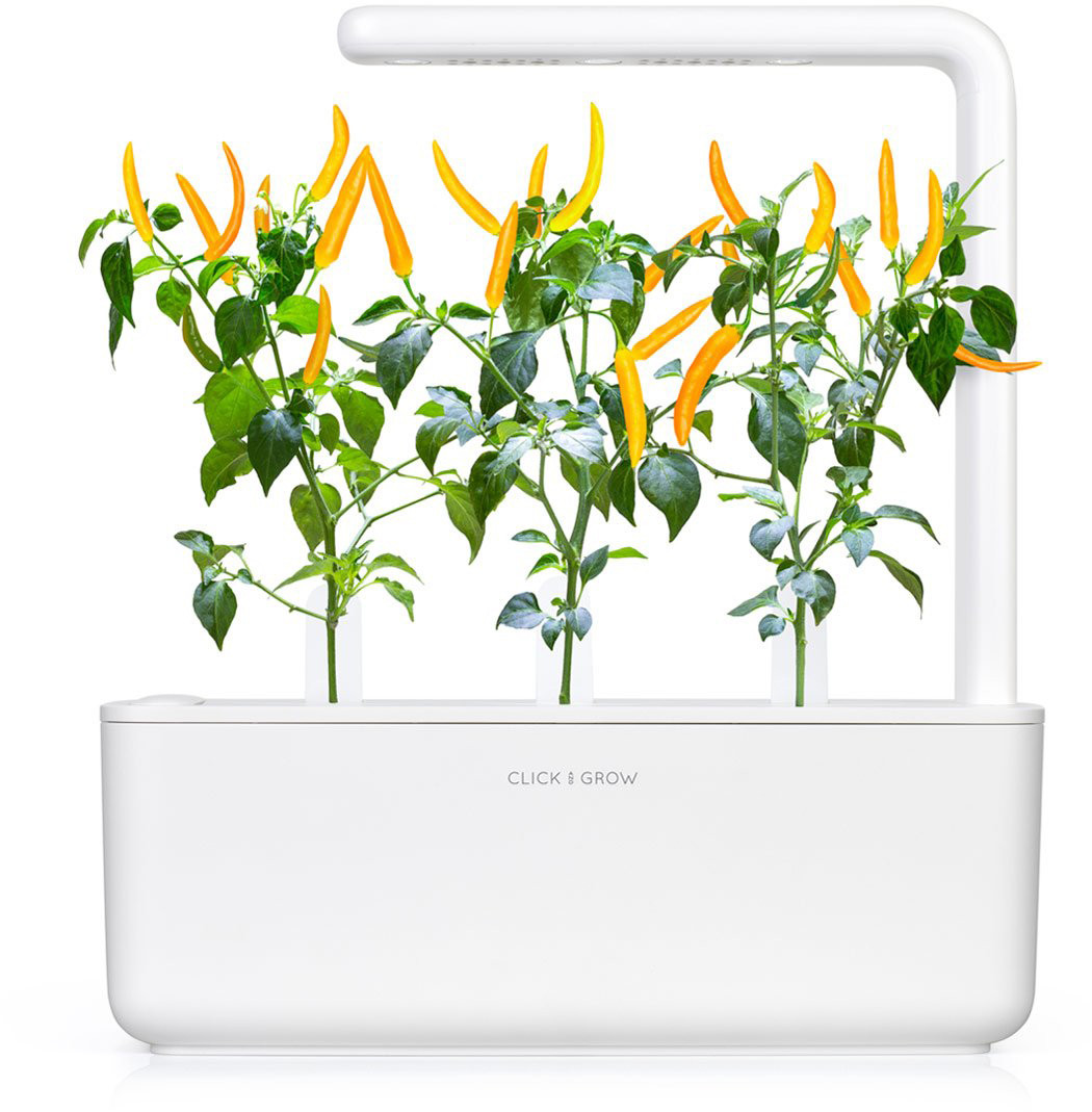 Click & Grow  Smart Garden refill Kollane tšilli 3tk