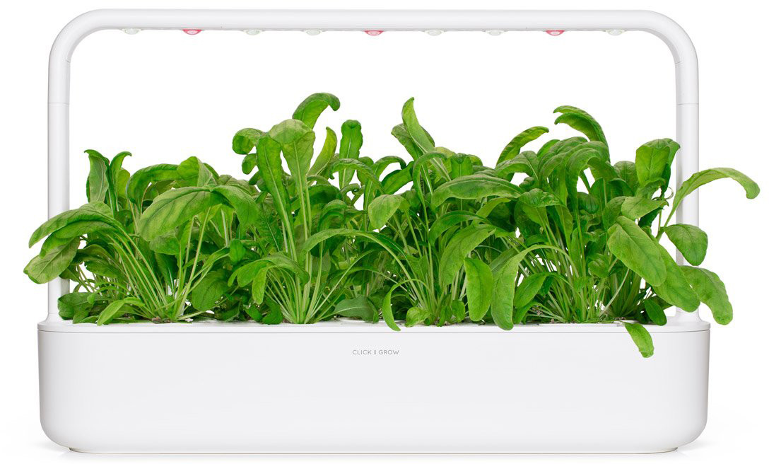 Click & Grow  Smart Garden refill Mibuuna 3tk